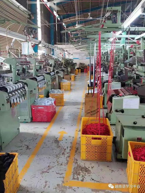 越南平阳省服装辅料工厂 专业生产针织松紧带 鞋带 提花带等产品